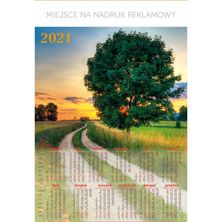 Telegraph Kalendarz Plakatowy B1, P05 - DROGA 67x98cm