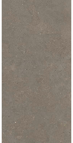 Płytka Gresowa Solida Grey 60x60x0,8 cm