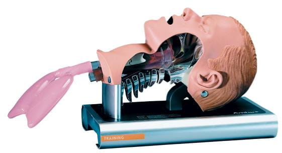 Ambu Fantom - głowa do intubacji przekrój Airway Management Trainer