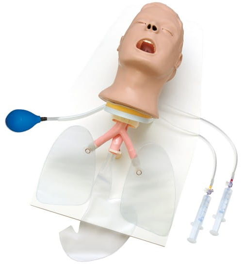 Nasco Głowa do intubacji Airway Larry na podstawie
