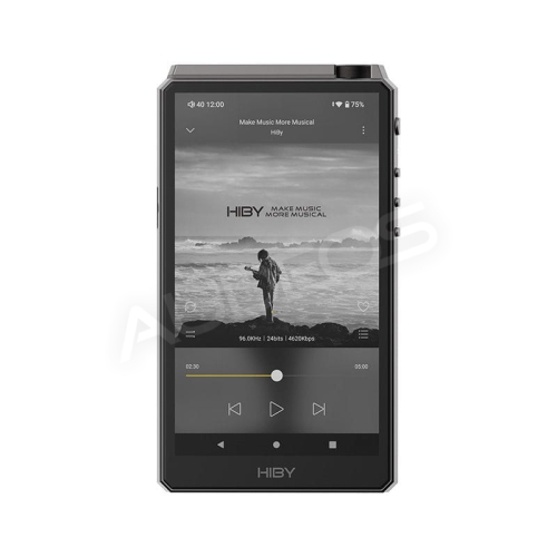 HiBy RS6 (szary)