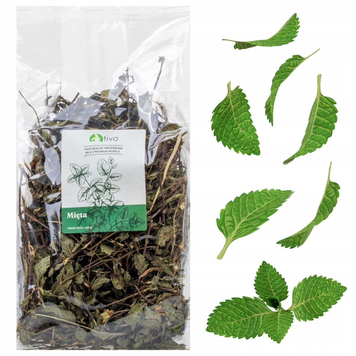Tivo Mięta 100g