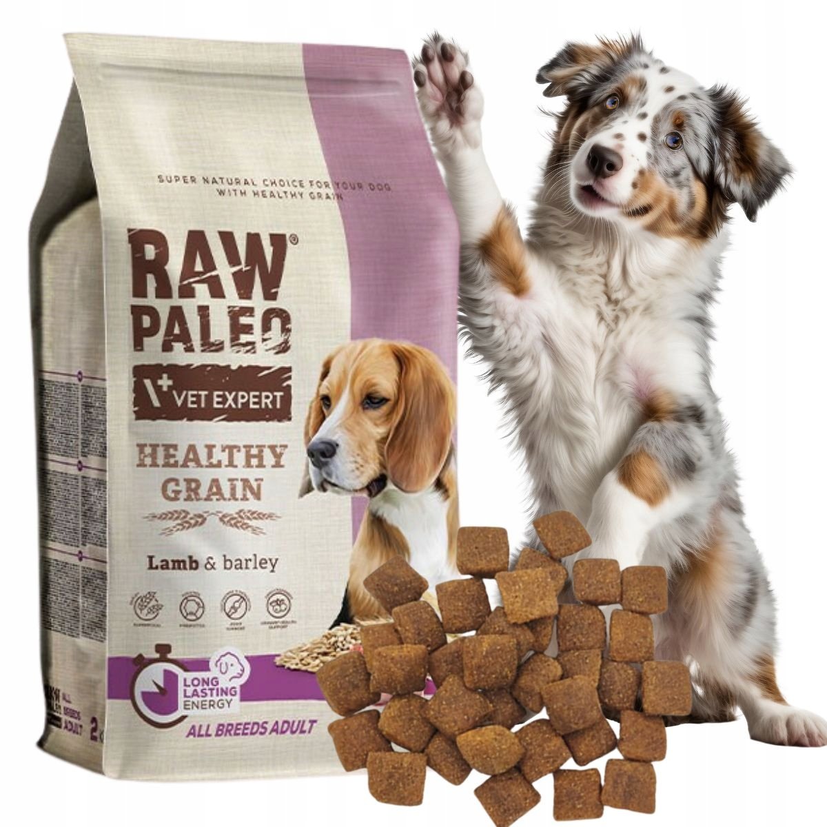 RAW Paleo GRAIN karma dla dorosłych z JAGNIĘCINĄ