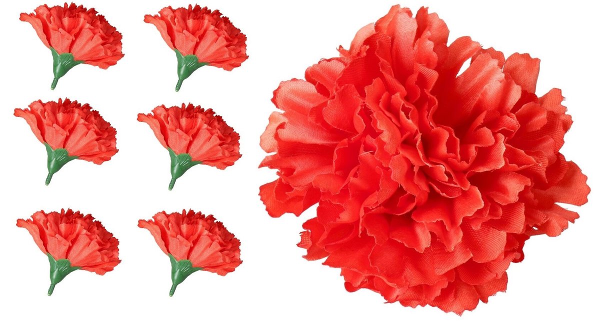 GOŹDZIK GOŹDZIKI GŁÓWKA WYROBOWA KWIAT PREMIUM x12