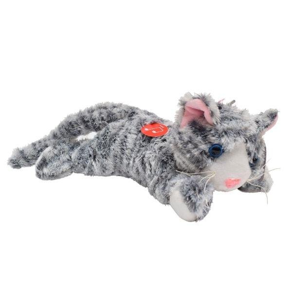 Kotek Pręgowany Leżący Średni