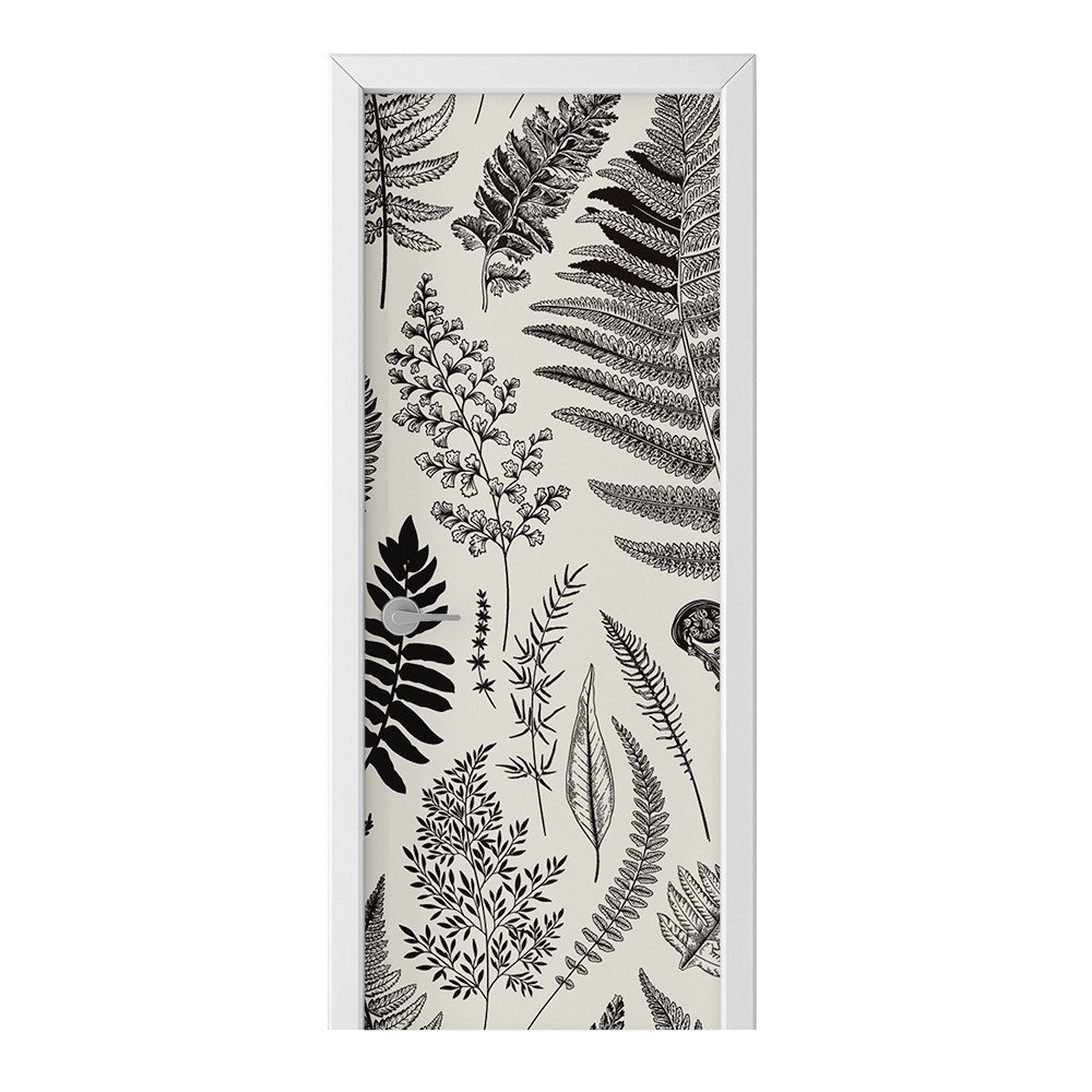 Naklejka na drzwi HOMEPRINT Rodzaje liści paproci 85x205 cm