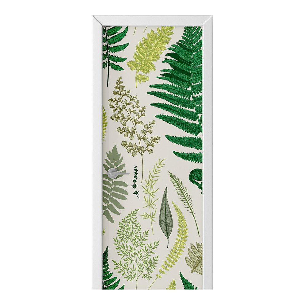 Naklejka na drzwi HOMEPRINT Rodzaje liści paproci 75x205 cm