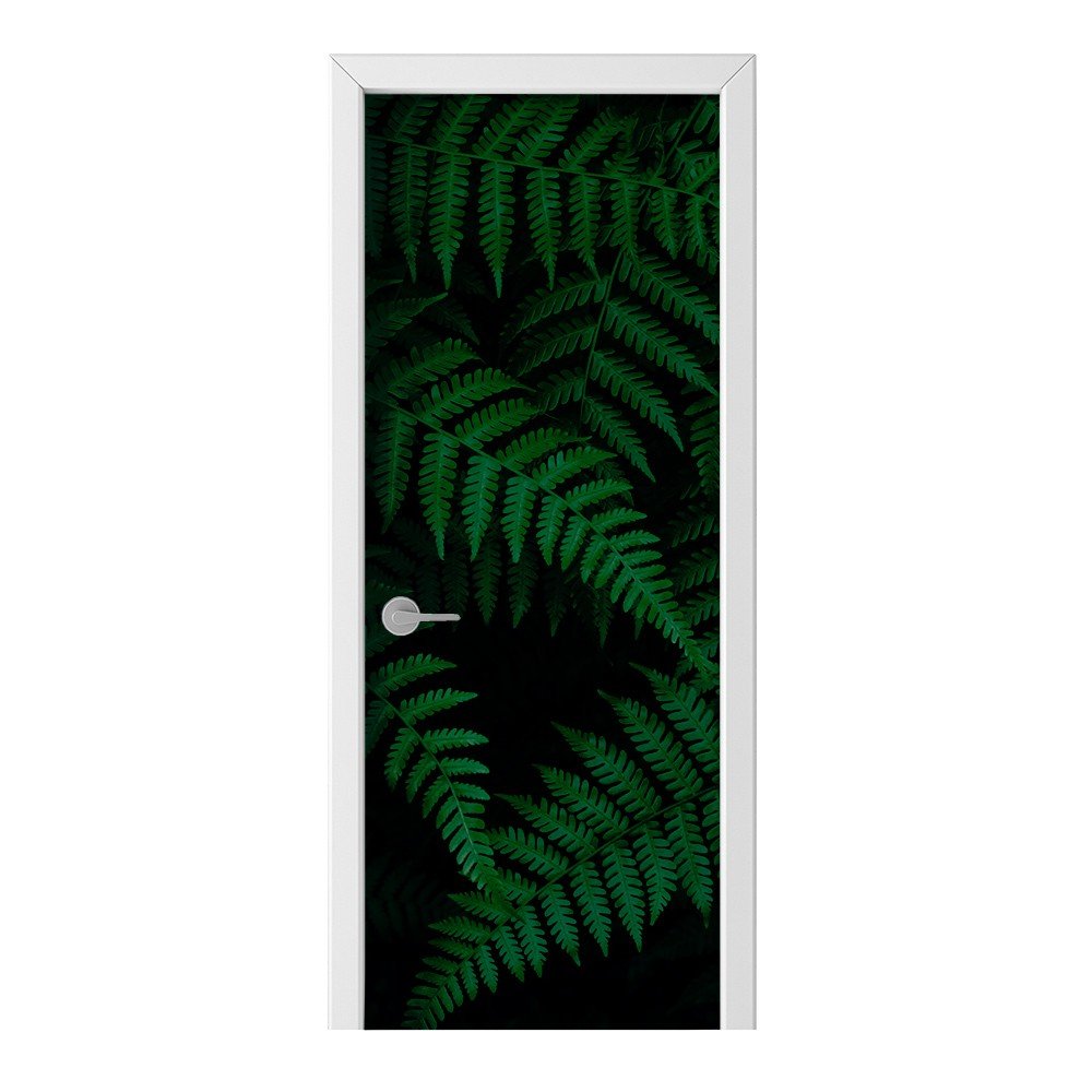 Naklejka na drzwi HOMEPRINT Liście paproci 75x205 cm