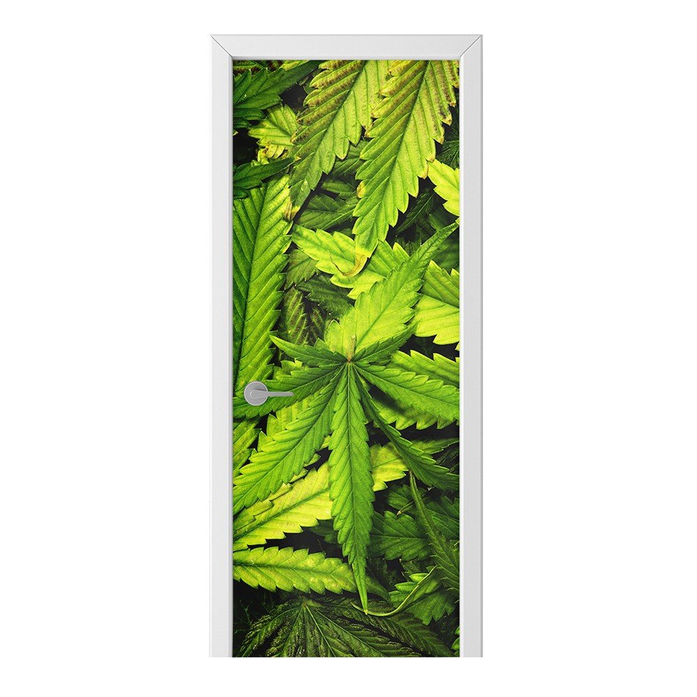 Naklejka na drzwi HOMEPRINT Liście marihuany 75x205 cm