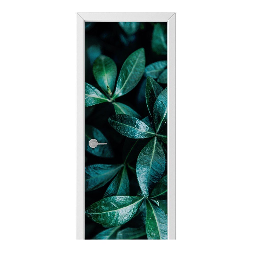 Naklejka na drzwi HOMEPRINT Liście na czarnym tle 75x205 cm