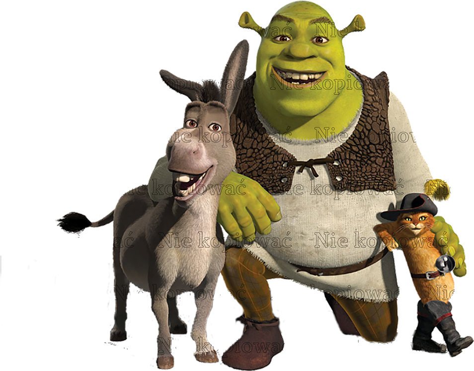 Naprasowanka Shrek bajka animacja 2