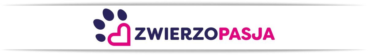 GRA PUZZLE ZABAWKA DLA PSA KOTA PONGO NIEBIESKI