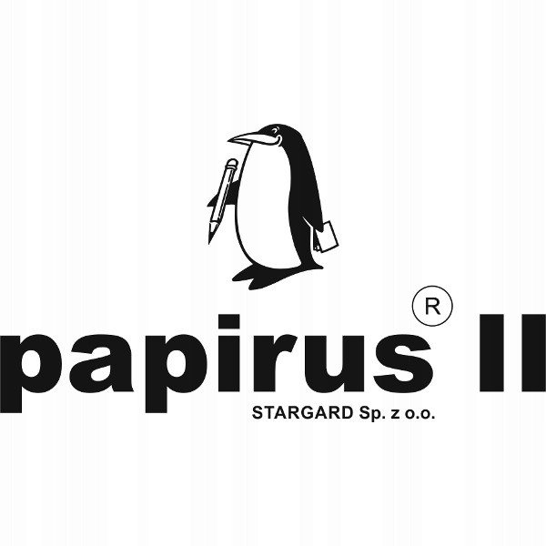 Papirus DZIENNIK BUDOWY A4 DB1 PIR 890 31485-uniw