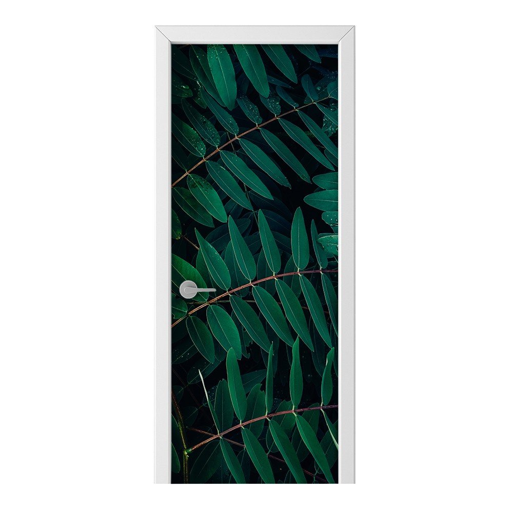 Naklejka na drzwi HOMEPRINT Liście z kroplą wody 75x205 cm