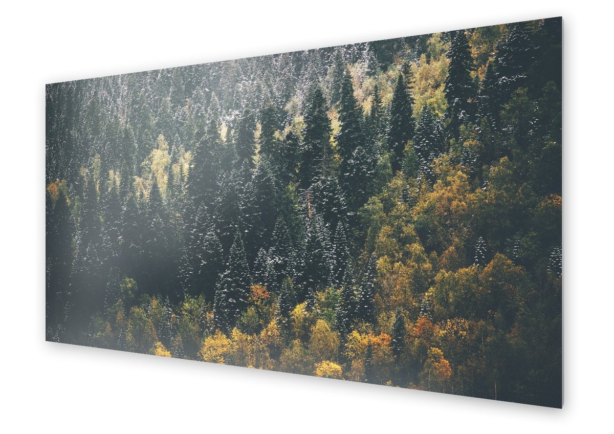 Panel kuchenny HOMEPRINT Krajobraz lasu iglastego 140x70 cm