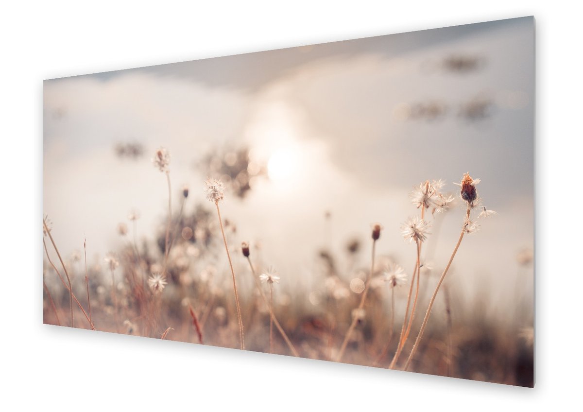 Panel kuchenny HOMEPRINT Natura o poranku 120x60 cm