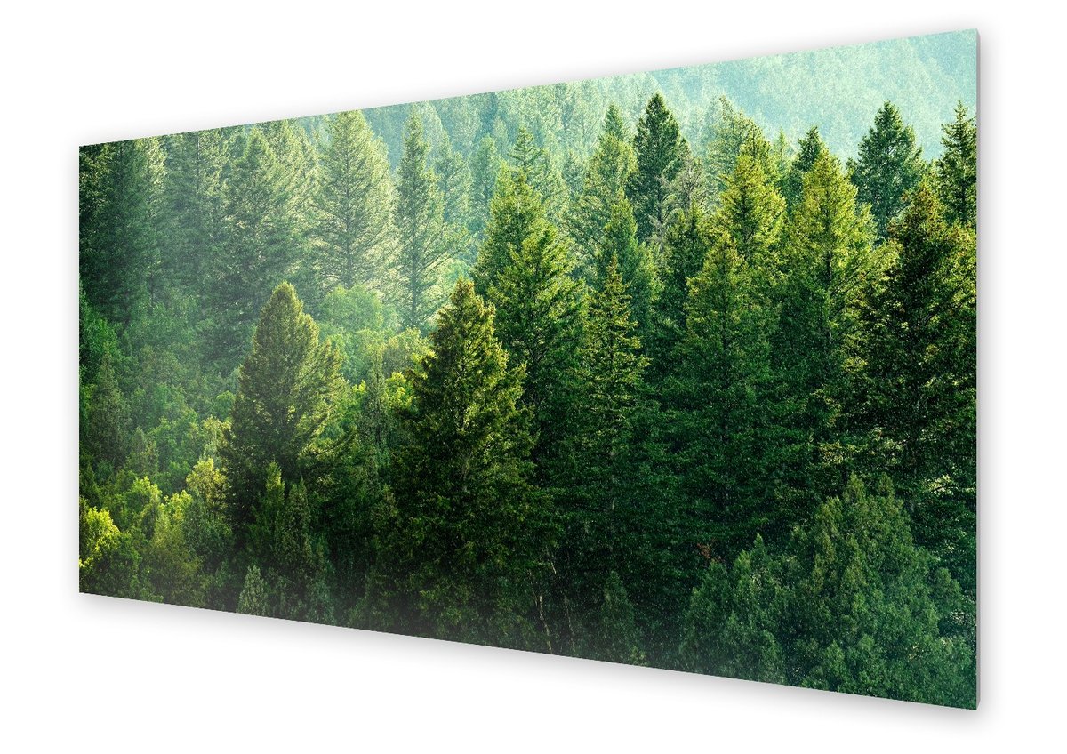 Panel kuchenny HOMEPRINT Widok z lotu ptaka 100x50 cm