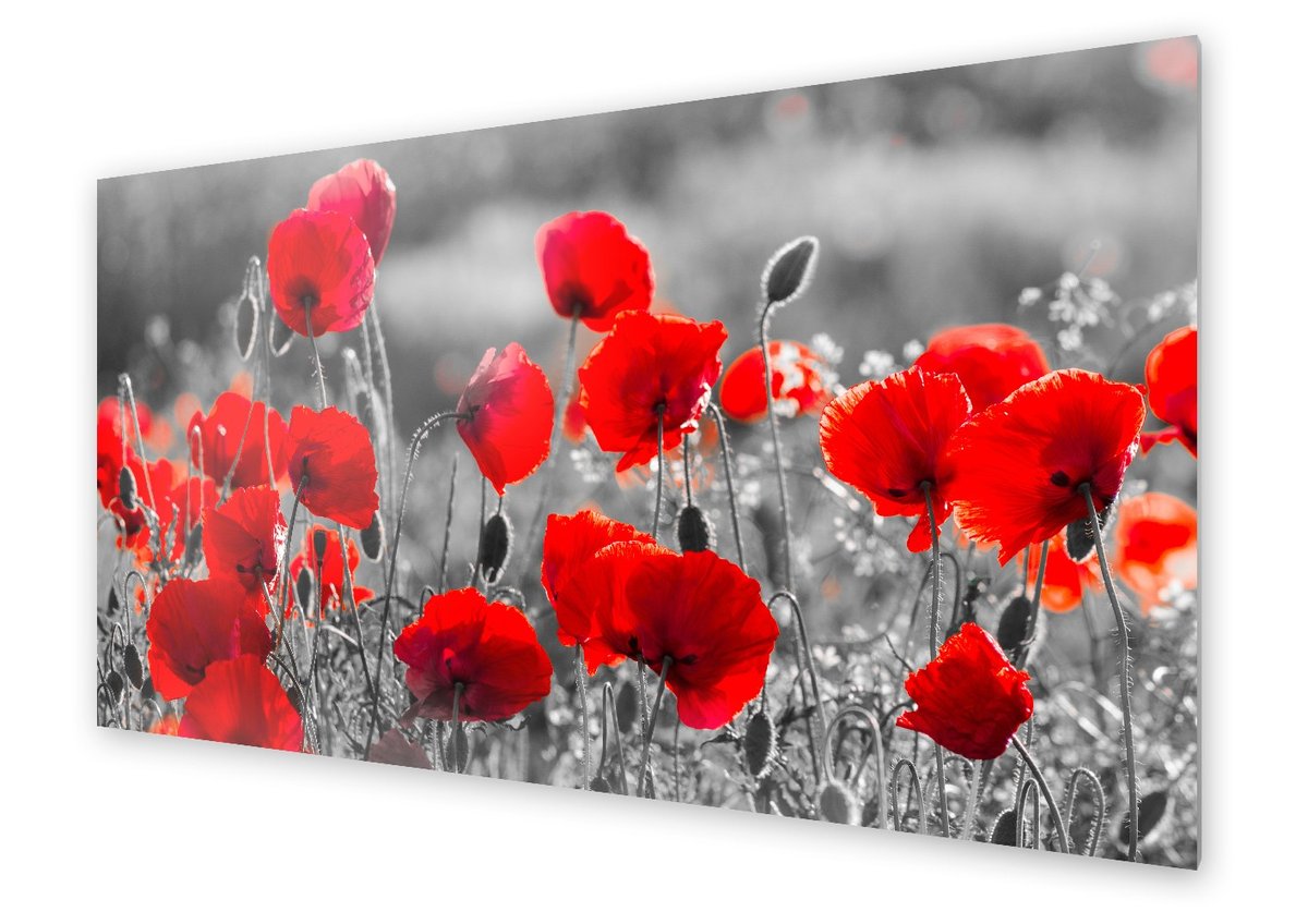 Panel kuchenny HOMEPRINT Czerwone maki na szarym tle 120x60 cm