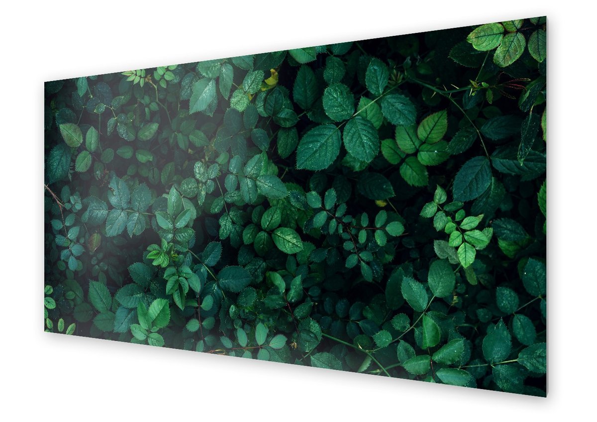 Panel kuchenny HOMEPRINT Dzika natura 140x70 cm