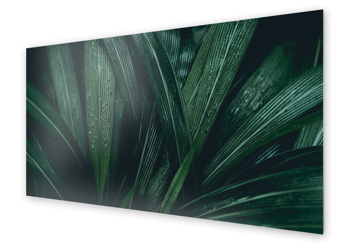 Panel kuchenny HOMEPRINT Rosa na liściach 120x60 cm