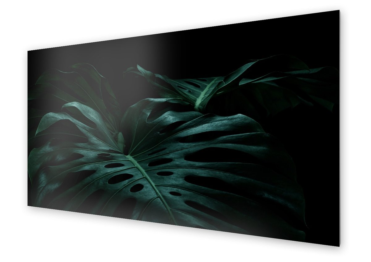 Panel kuchenny HOMEPRINT Liście monstera w mroku 120x60 cm