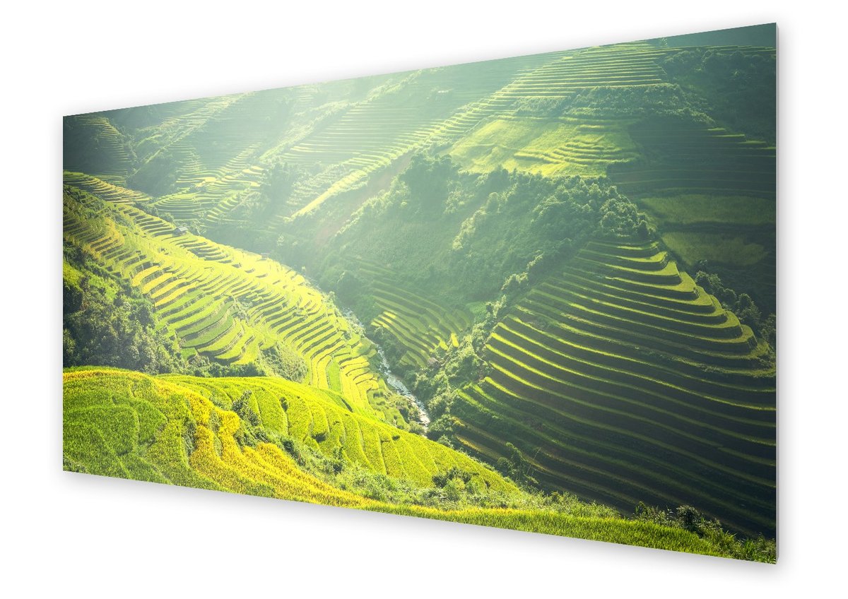 Panel kuchenny HOMEPRINT Widok na pola ryżowe 140x70 cm