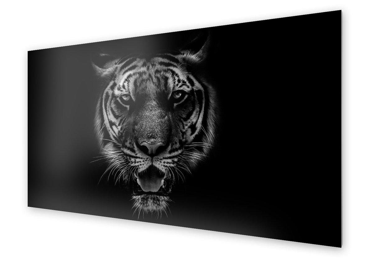 Panel kuchenny HOMEPRINT Portret tygrysa 140x70 cm