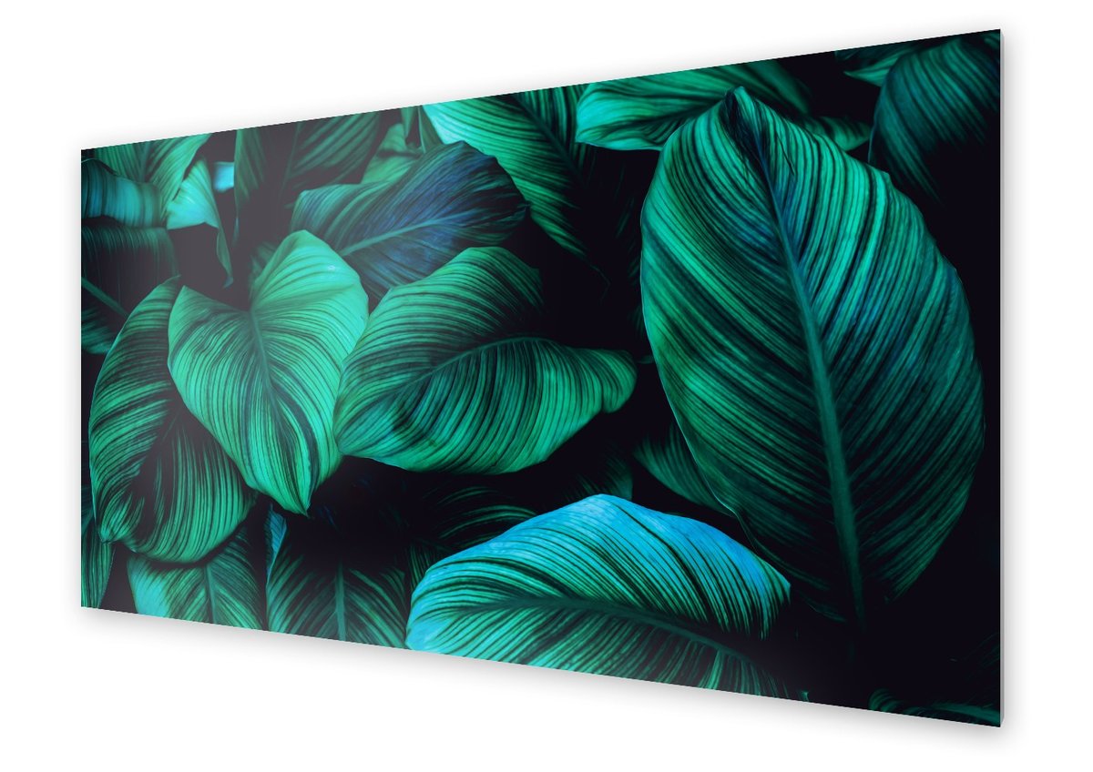 Panel kuchenny HOMEPRINT Duże liście egzotyczne 120x60 cm