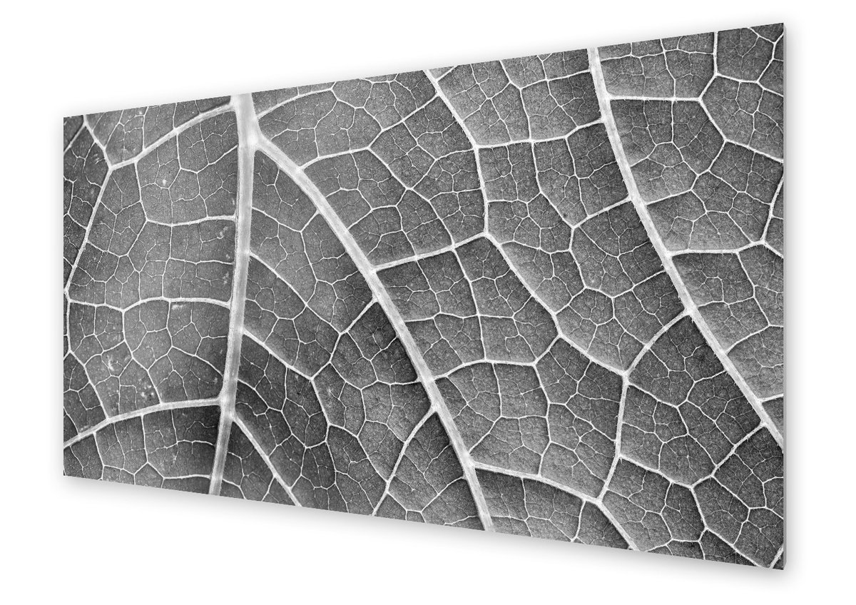 Panel kuchenny HOMEPRINT Struktura liścia 120x60 cm