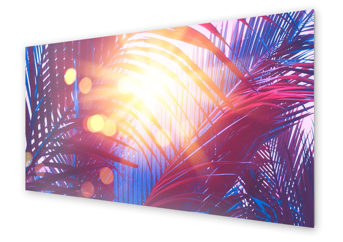 Panel kuchenny HOMEPRINT Słońce w liściach palmy 140x70 cm