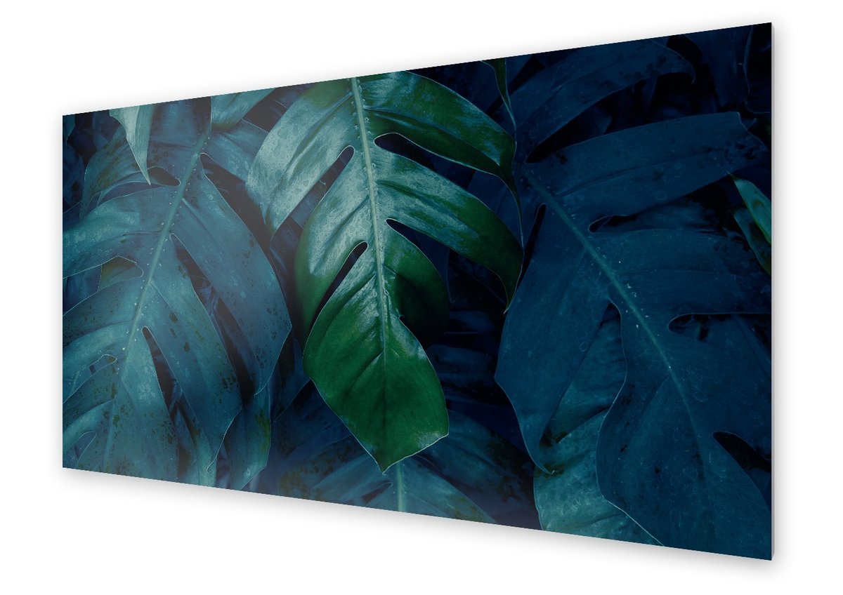 Panel kuchenny HOMEPRINT Tekstura liści tropikalnych 125x50 cm