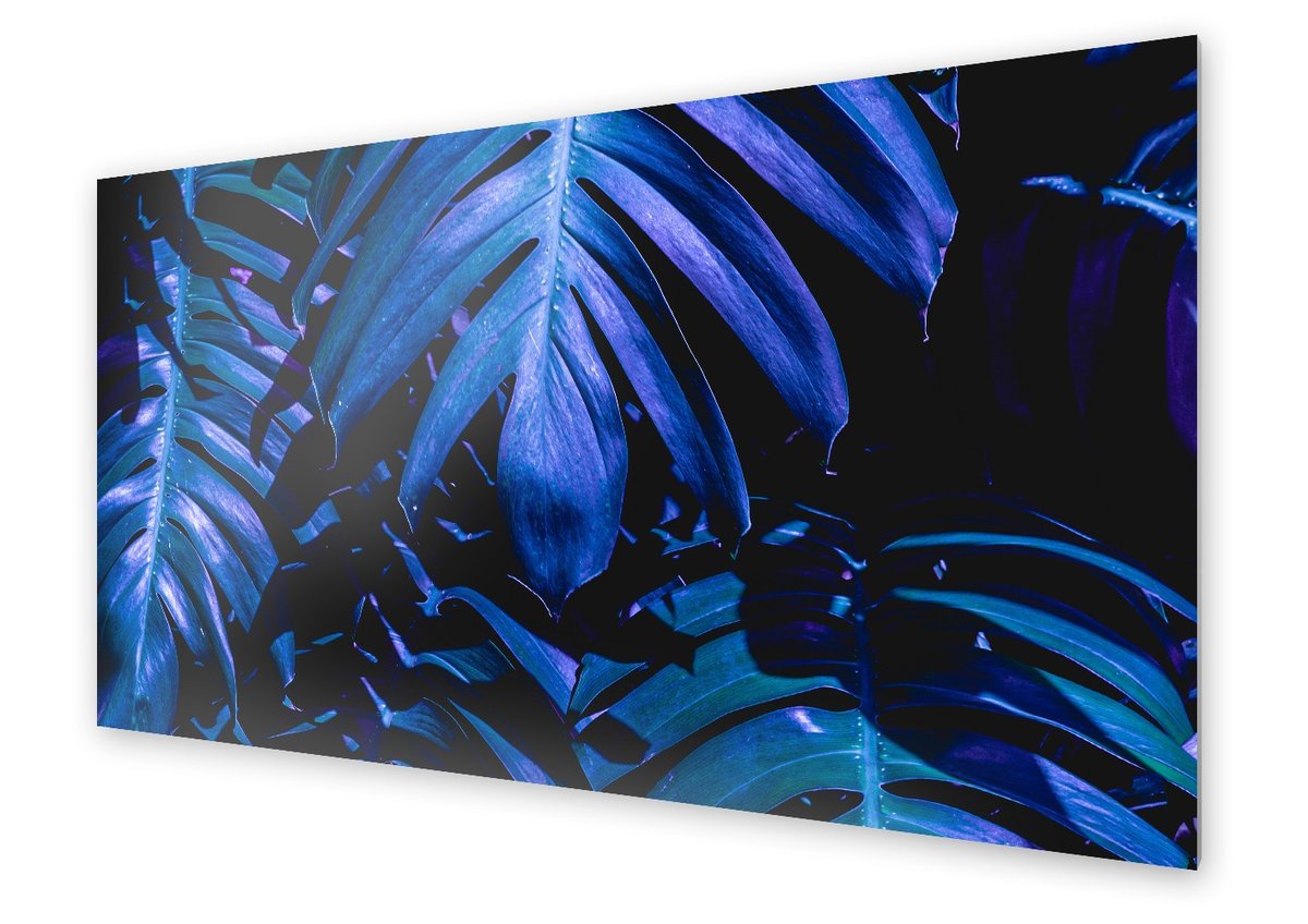 Panel kuchenny HOMEPRINT Liść monstera fioletowe 140x70 cm