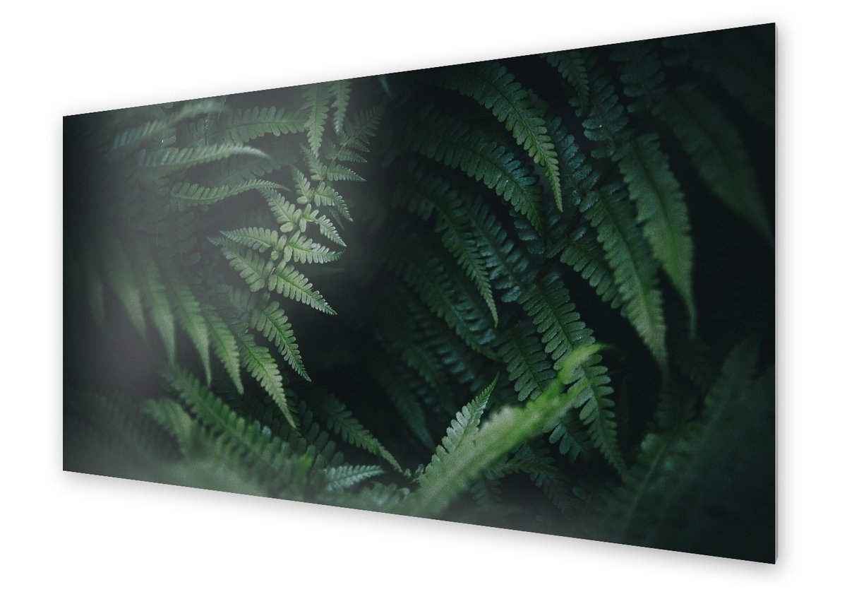 Panel kuchenny HOMEPRINT Liście paproci 125x50 cm