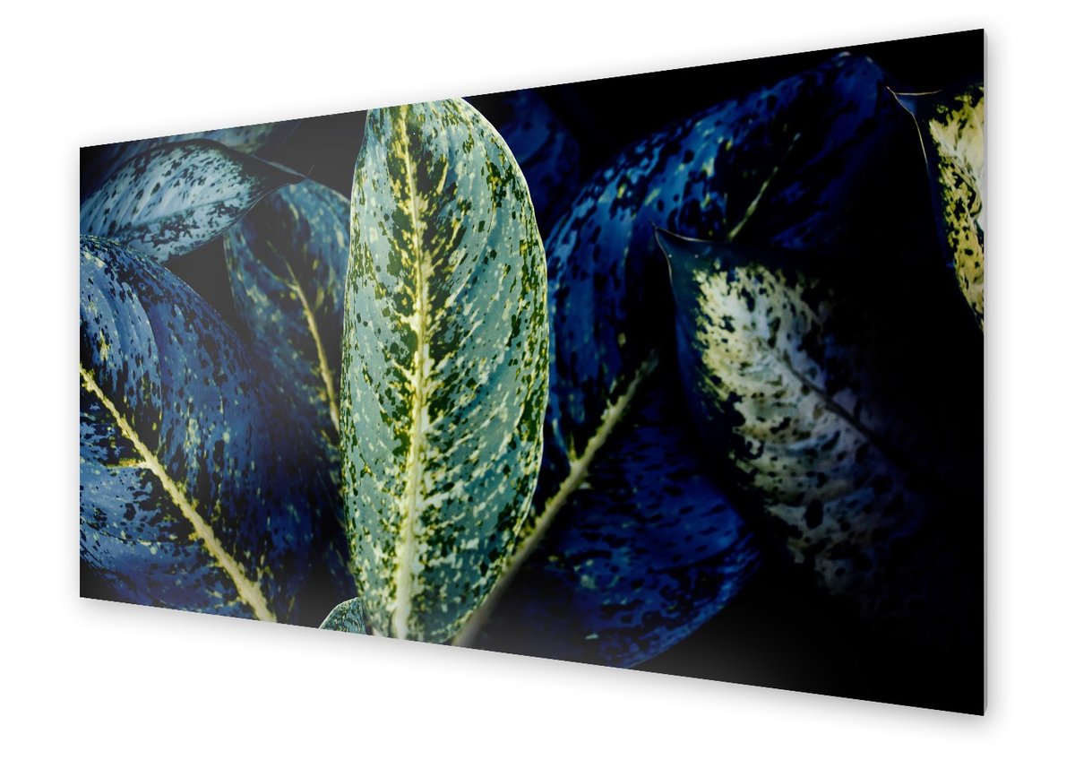 Panel kuchenny HOMEPRINT Makro liście 120x60 cm
