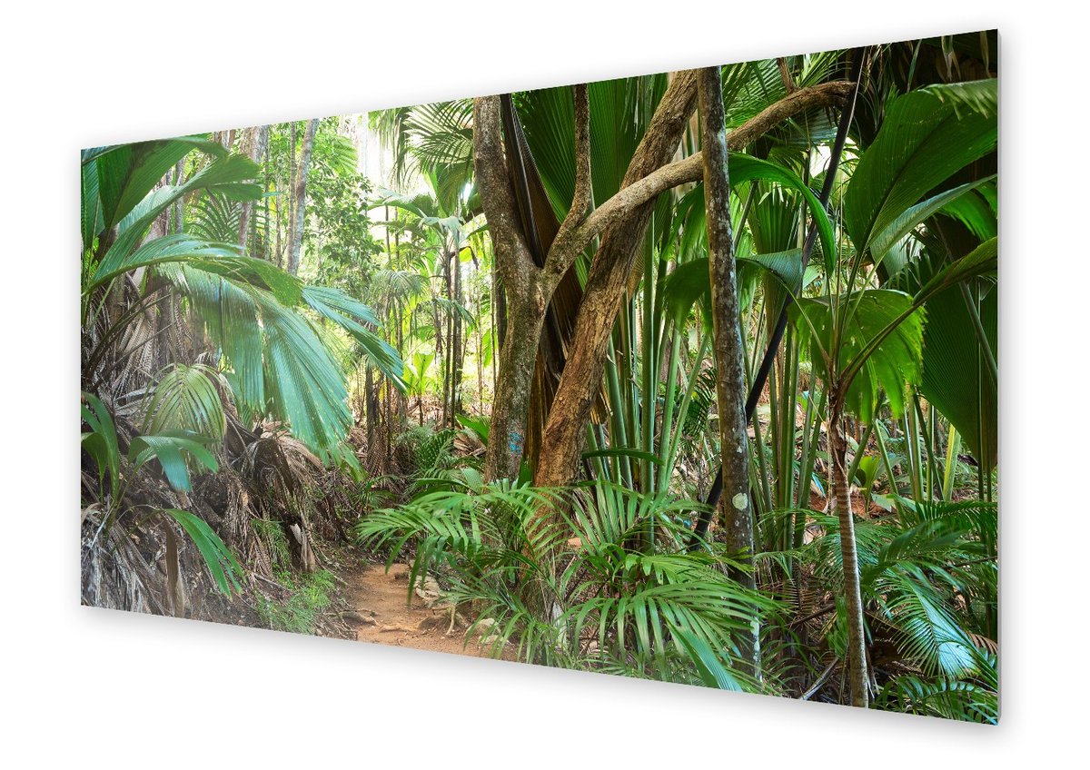 Panel kuchenny HOMEPRINT Tropikalny las deszczowy 140x70 cm