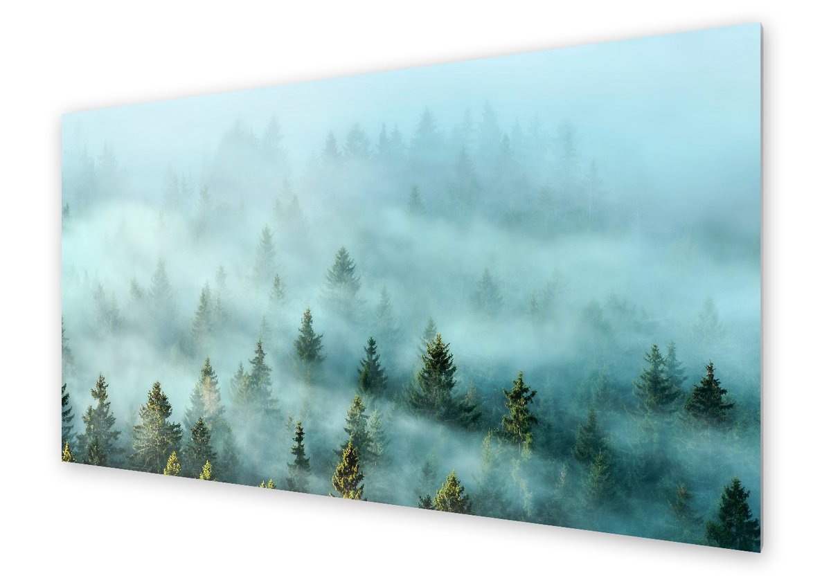 Panel kuchenny HOMEPRINT Las iglasty o poranku 140x70 cm