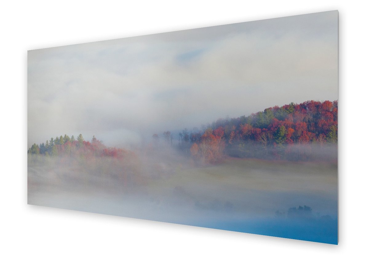 Panel kuchenny HOMEPRINT Jesienny krajobraz lasu 100x50 cm