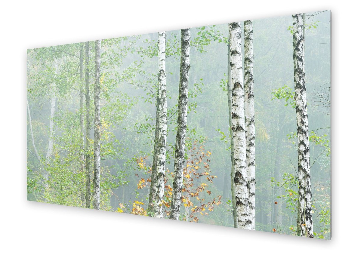 Panel kuchenny HOMEPRINT Las brzozowy we mgle 120x60 cm