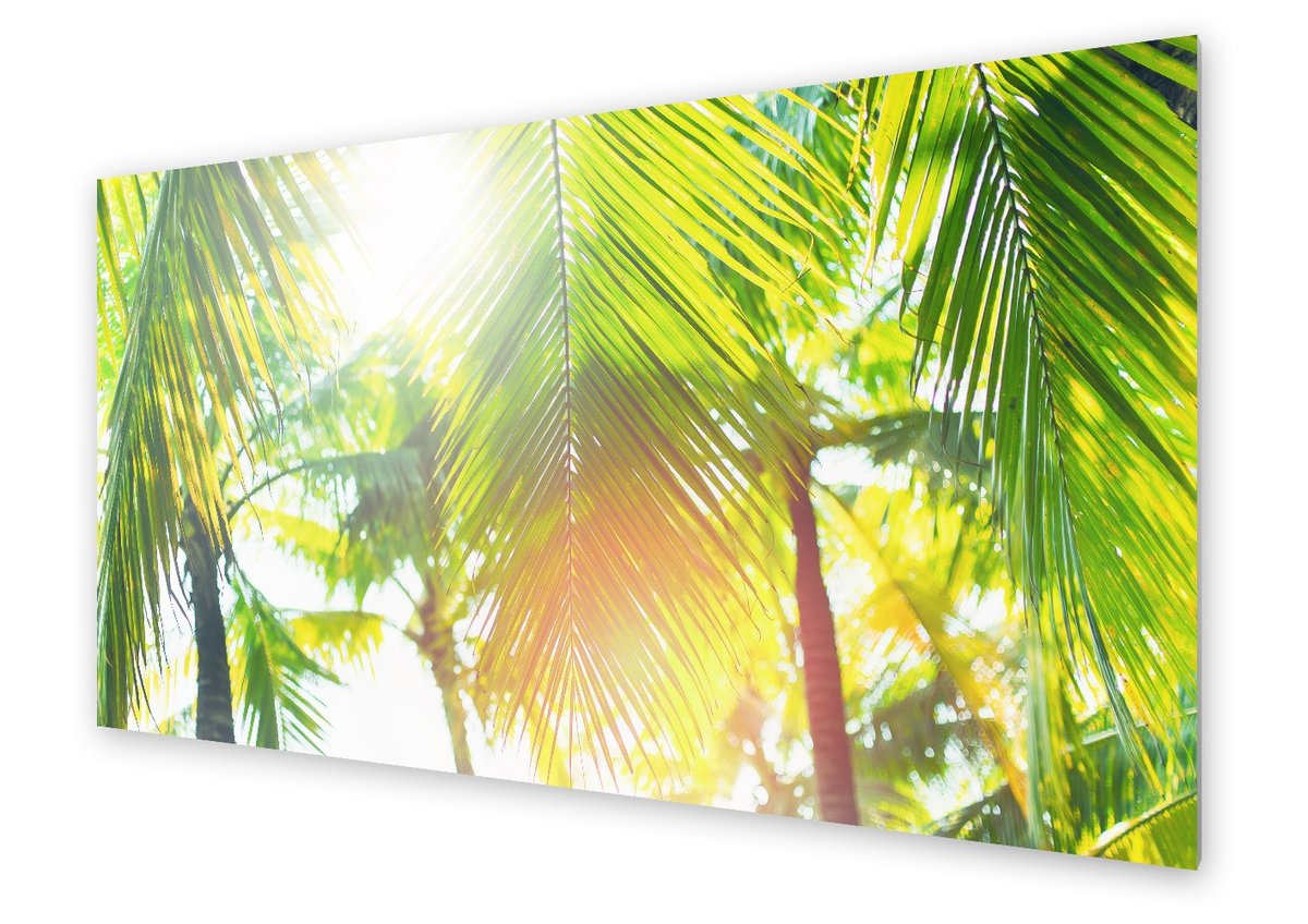 Panel kuchenny HOMEPRINT Wschód słońca w tropikach 125x50 cm