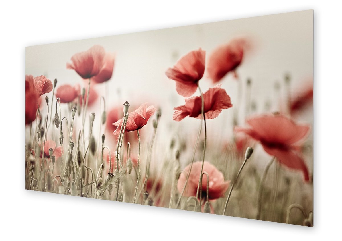 Panel kuchenny HOMEPRINT Pole pełne maków 125x50 cm