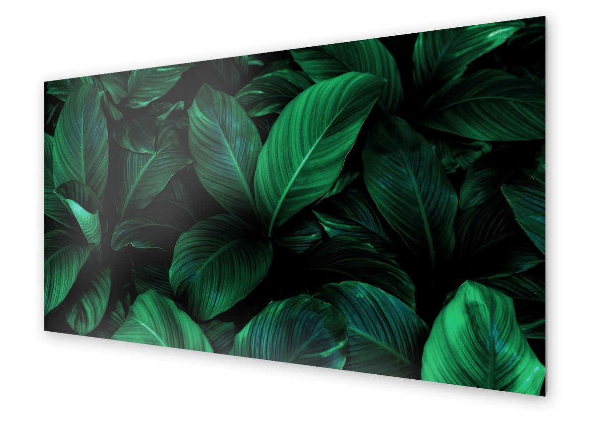 Panel kuchenny HOMEPRINT Gąszcz zielonych liści 120x60 cm