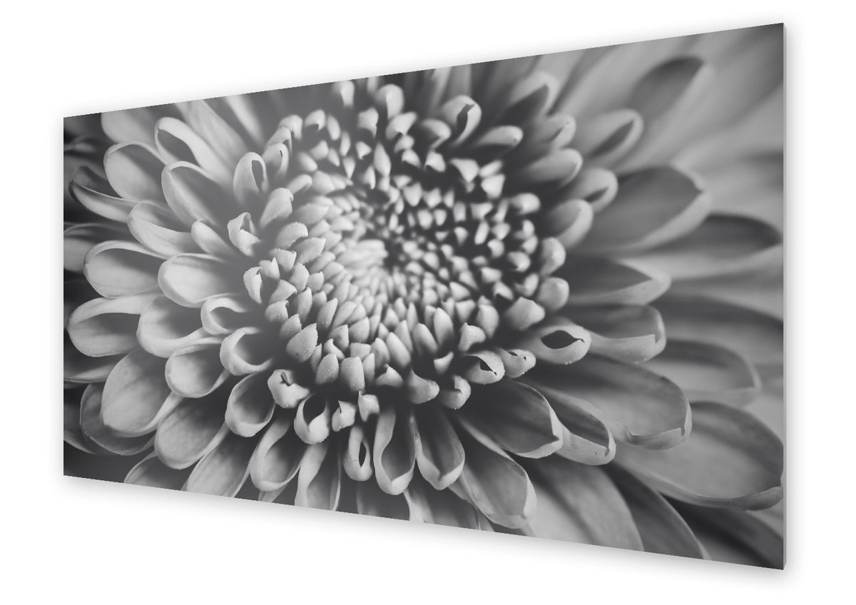 Panel kuchenny HOMEPRINT Kwiat biało czarny makro 100x50 cm