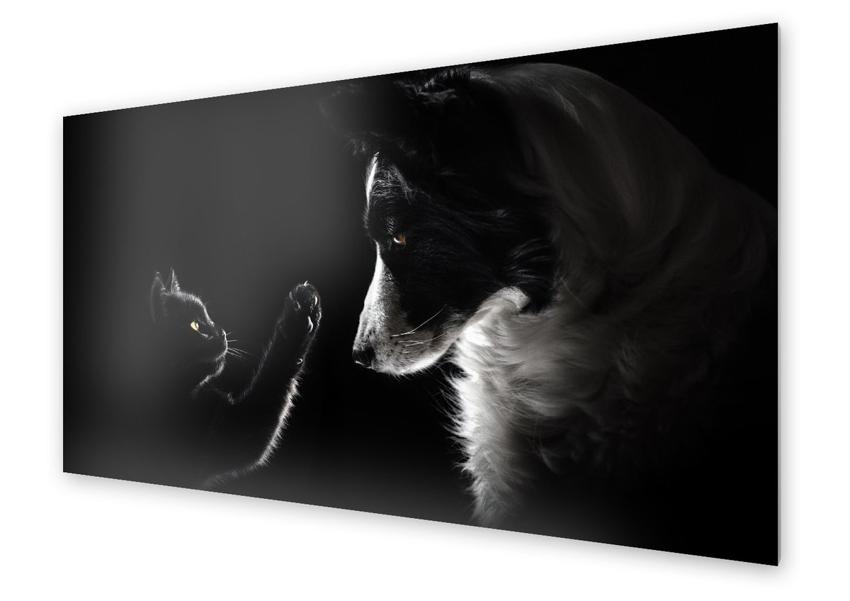 Panel kuchenny HOMEPRINT Portret kota i psa 120x60 cm