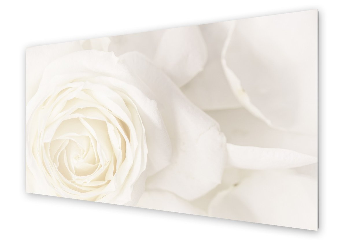 Panel kuchenny HOMEPRINT Zbliżenie na białą różę 140x70 cm