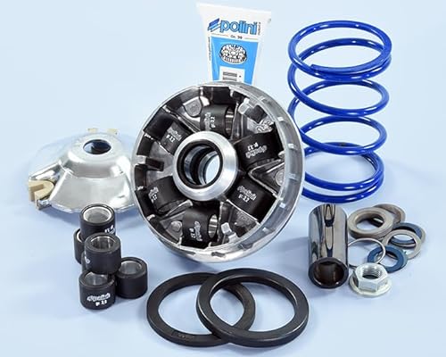 VARIATOR HI-SpeED PIAGGIO EVOLUT.2 16