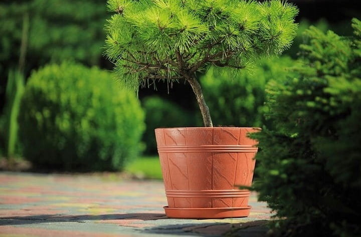 Osłonka DREWNOPODOBNA 5 terrakota