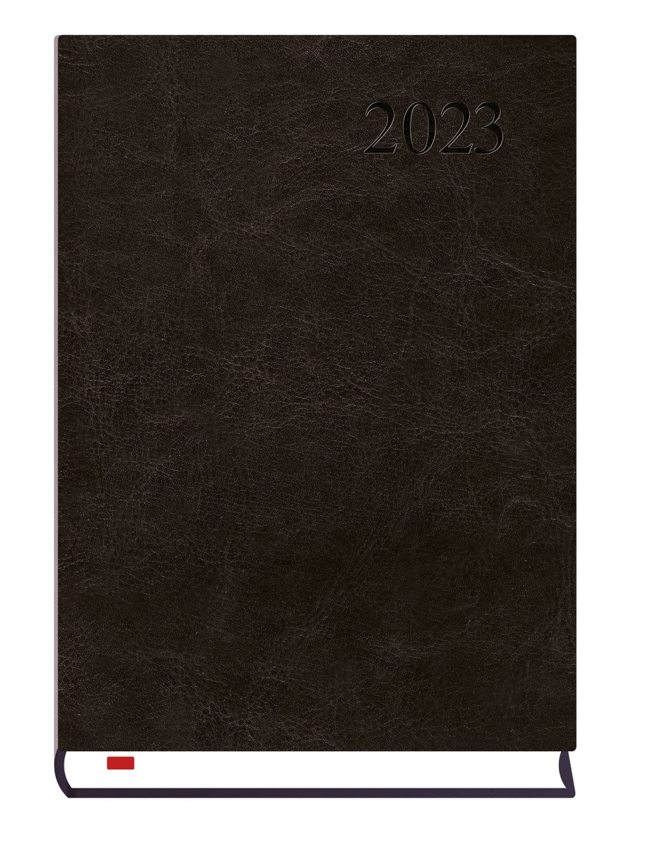 Michalczyk i P. Kalendarze Terninarz Asystent 2018 ALASKA - czarny T-237A-V 00160MP