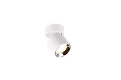 Guayana lampa sufitowa (spot) 1xGU10 biała 651000131