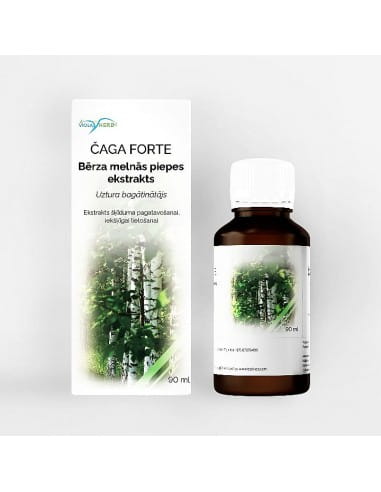 Befungin - Czaga - koncentrat 1:1 - 90 ml