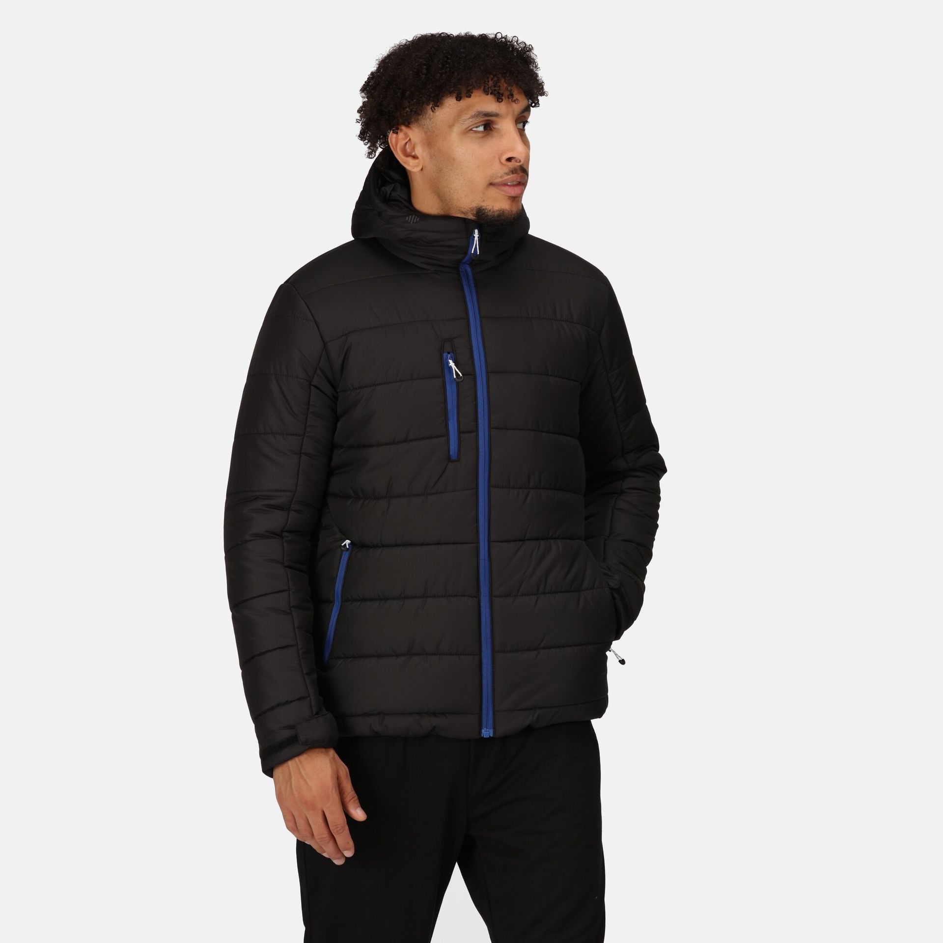 Regatta Professional Męska Kurtka Ocieplana Navigate Black New Royal, Rozmiar: Xxl